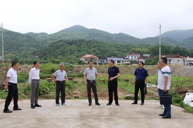 胡流芳率隊到汨羅市達摩嶺村開展扶貧走訪調(diào)研